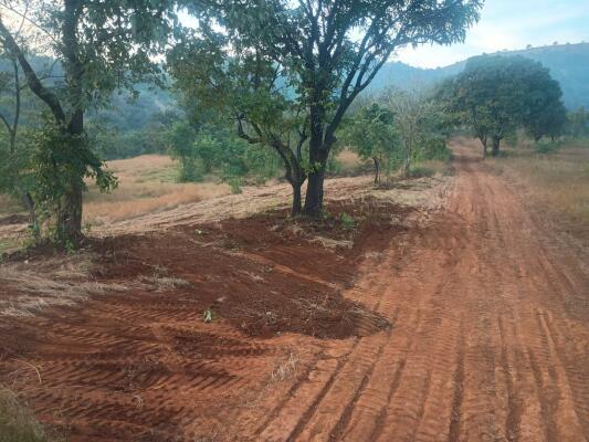 Residential land / Plot in Velhe, Pune