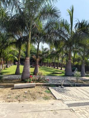 Residential land / Plot in Daldal Seoni, Raipur