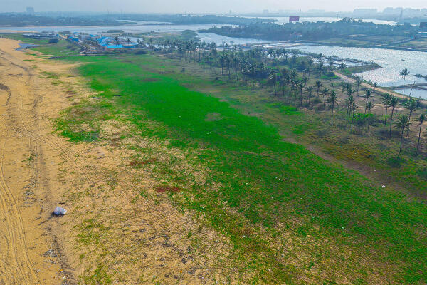 Residential land / Plot in Muttukadu, ECR