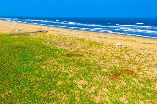 Residential land / Plot in Muttukadu, ECR