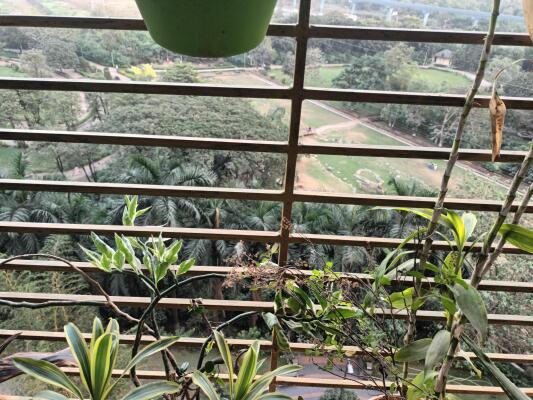 4 BHK Flat in Wadala, Mumbai