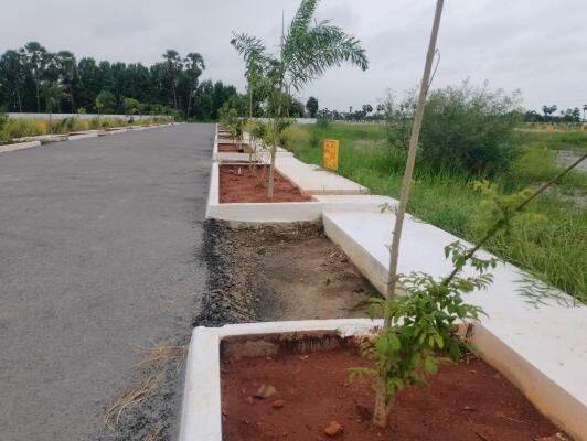 Residential land / Plot in Gorantla, Guntur