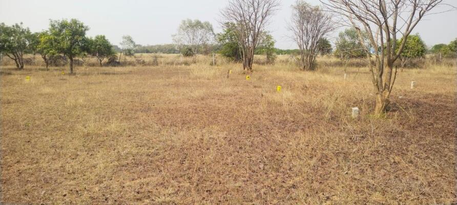 Residential land / Plot in Vengal, Thiruvallur