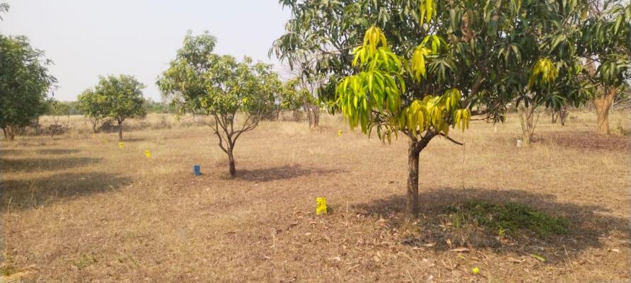 Residential land / Plot in Vengal, Thiruvallur