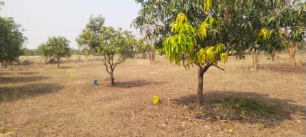 Residential land / Plot in Vengal, Thiruvallur