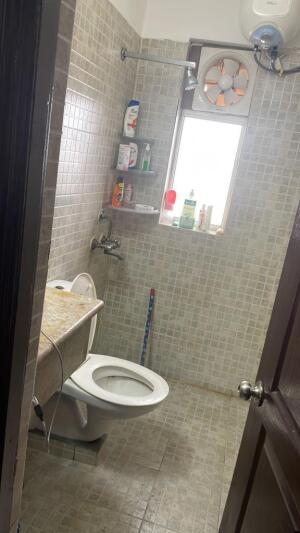 3 BHK Flat in Sector 137, Noida