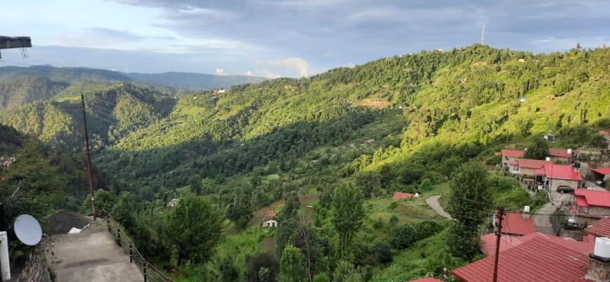 1 BHK Flat in Mukteshwar, Nainital
