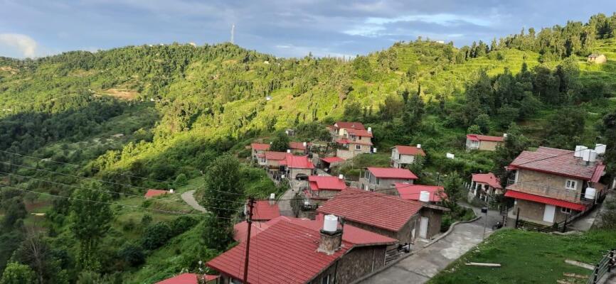 1 BHK Flat in Mukteshwar, Nainital