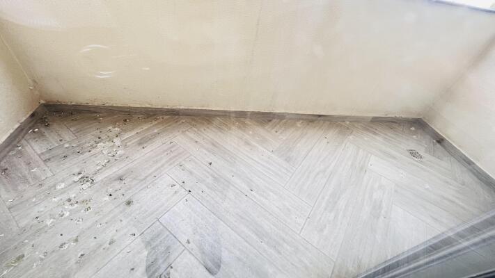 4 BHK Builder Floor in Green Park Extension, Delhi