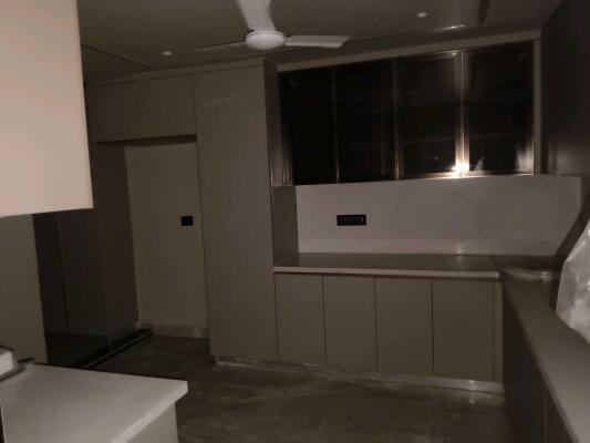 4 BHK Builder Floor in DLF Phase 2, Gurgaon