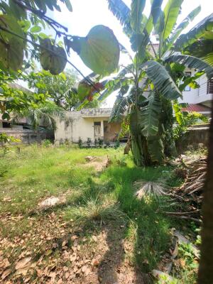 Residential land / Plot in NRI City, Greater Noida