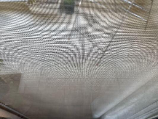 4 BHK Flat in Sector 81, Gurgaon