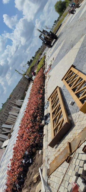 Residential land / Plot in Pipla, Nagpur