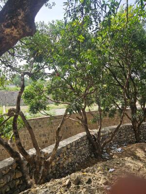 Residential land / Plot in Thano, Dehradun