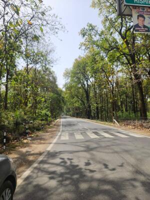 Residential land / Plot in Thano, Dehradun