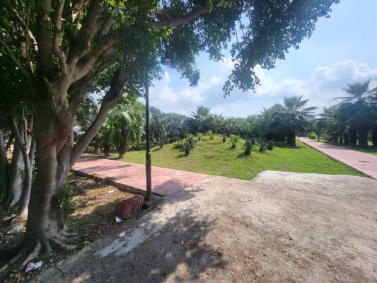 Residential land / Plot in Sector 36, Greater Noida