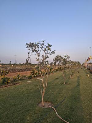 Residential land / Plot in Manesar, Gurgaon