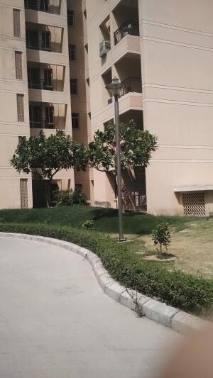 2 BHK Flat in Sector 134, Noida