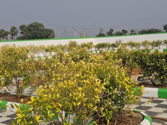Residential land / Plot in Palakaluru Road, Guntur