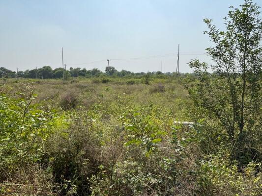 Residential land / Plot in Block G Sector-20 Yamuna Expressway, Greater Noida