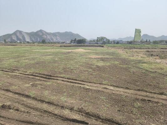 Residential land / Plot in Kethanakonda, Vijayawada