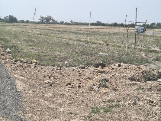 Residential land / Plot in Kethanakonda, Vijayawada