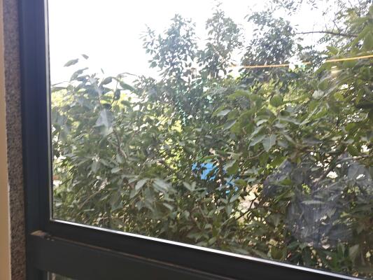 4 BHK Builder Floor in Anand Vihar, Delhi