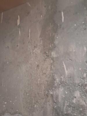12 Bedroom House in C Block janakpuri, Delhi