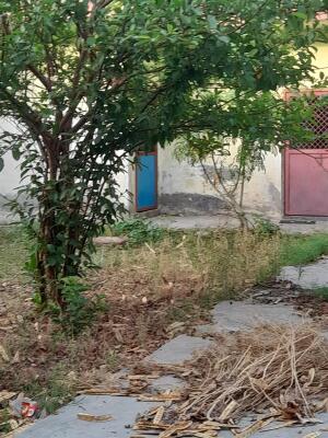 Residential land / Plot in Sector 31, Greater Noida