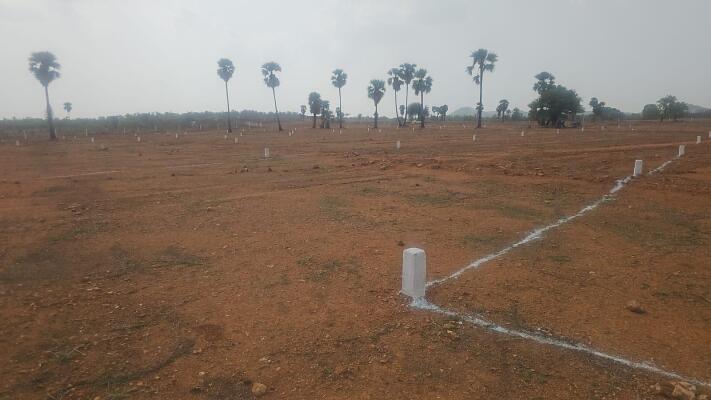 Residential land / Plot in Choutuppal, Yadadri Bhuvanagiri