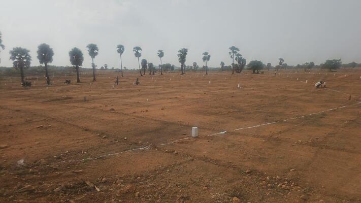 Residential land / Plot in Choutuppal, Yadadri Bhuvanagiri