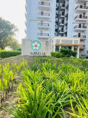 3 BHK Flat in Sector-35 Sohna, Gurgaon