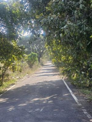 Residential land / Plot in Banashankari 6th Stage 1st Block, Banashankari Stage 6