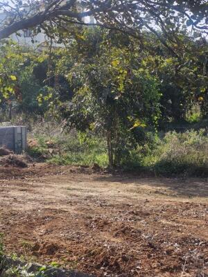 Residential land / Plot in Banashankari 6th Stage 1st Block, Banashankari Stage 6