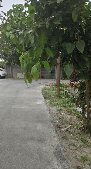 Residential land / Plot in Banashankari 6th Stage 1st Block, Banashankari Stage 6