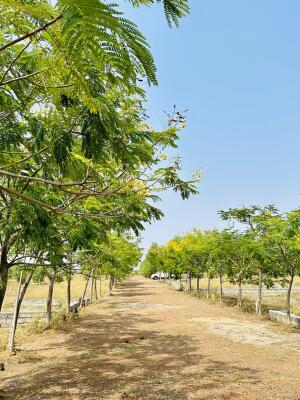 Residential land / Plot in Naya Raipur