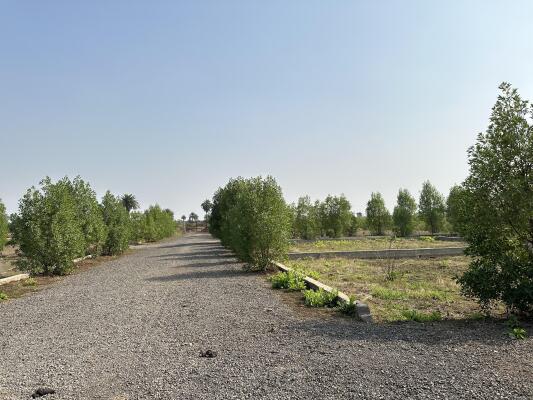Residential land / Plot in Naya Raipur