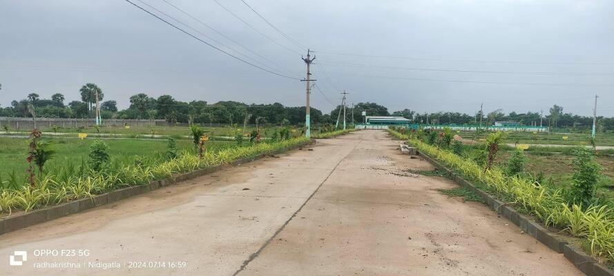 Residential land / Plot in Gadala, Rajahmundry