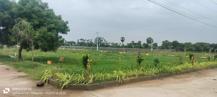 Residential land / Plot in Gadala, Rajahmundry