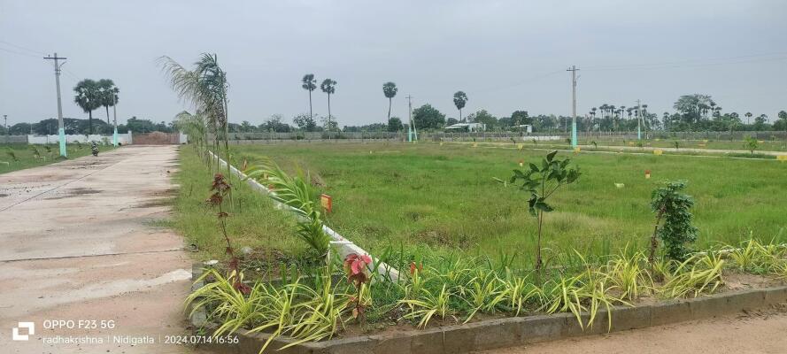Residential land / Plot in Gadala, Rajahmundry