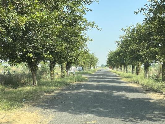 Residential land / Plot in Sector 20 Yamuna Expressway, Greater Noida
