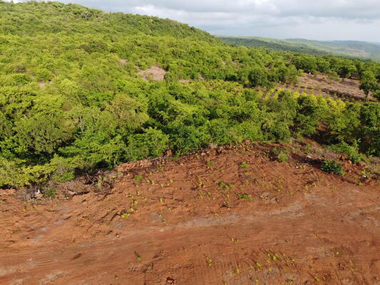 Residential land / Plot in Roha, Raigad