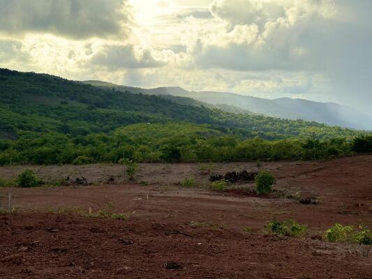 Residential land / Plot in Roha, Raigad