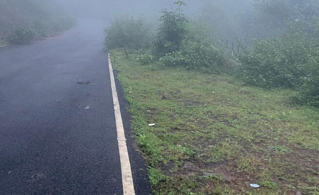 Residential land / Plot in Roha, Raigad