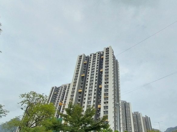 Tulip Wadhwa Wise City