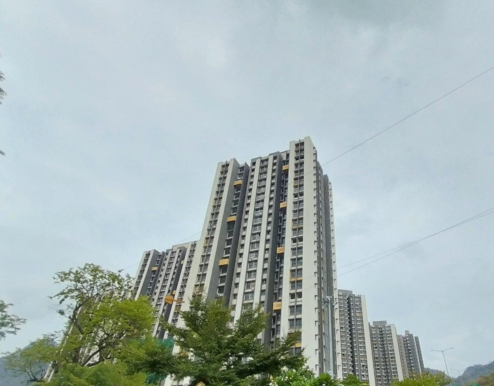 Tulip Wadhwa Wise City